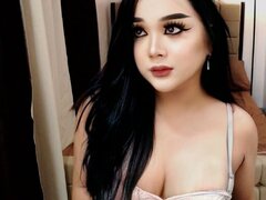 Model Recent Snapshot