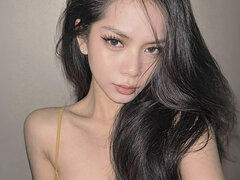 Model Recent Snapshot
