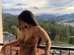 Model Recent Snapshot