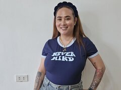 Model Recent Snapshot