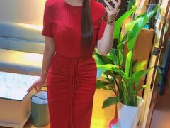 Model Recent Snapshot