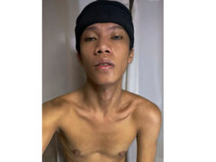Model Recent Snapshot