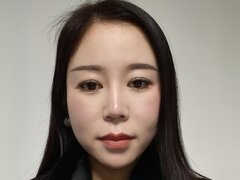 Model Recent Snapshot