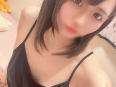 Model Recent Snapshot