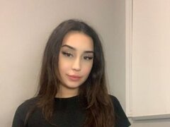 Model Recent Snapshot