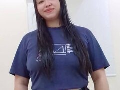 Model Recent Snapshot