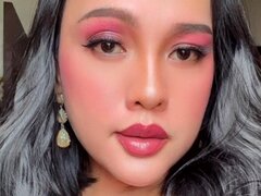 Model Recent Snapshot