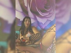 Model Recent Snapshot
