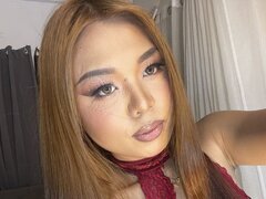 Model Recent Snapshot