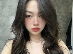 Model Recent Snapshot
