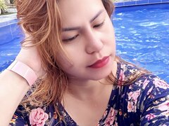 Model Recent Snapshot