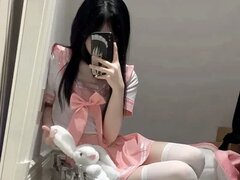 Model Recent Snapshot