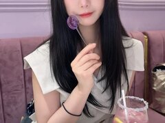 Model Recent Snapshot