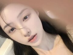 Model Recent Snapshot