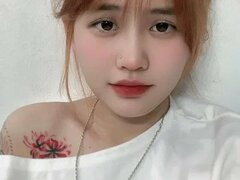 Model Recent Snapshot