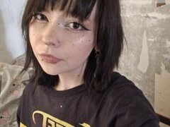 Model Recent Snapshot