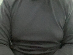 Model Recent Snapshot