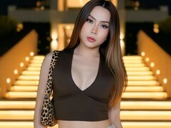Model Recent Snapshot