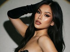 Model Recent Snapshot