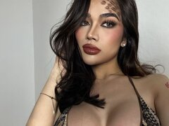 Model Recent Snapshot