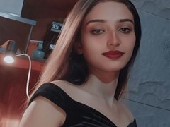 Model Recent Snapshot