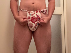 Model Recent Snapshot
