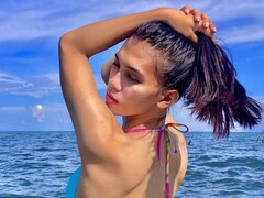 Model Recent Snapshot
