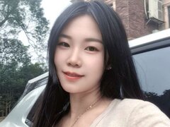 Model Recent Snapshot
