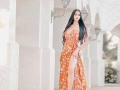 Model Recent Snapshot