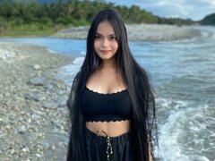 Model Recent Snapshot