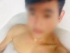 Model Recent Snapshot
