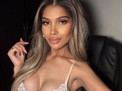 Model Recent Snapshot