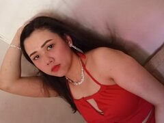 Model Recent Snapshot