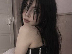 Model Recent Snapshot