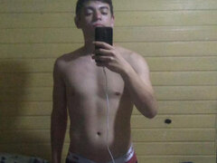 Model Recent Snapshot
