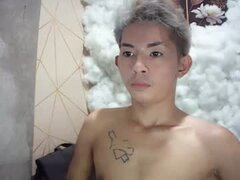 Model Recent Snapshot