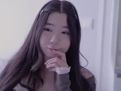 Model Recent Snapshot