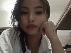 Model Recent Snapshot
