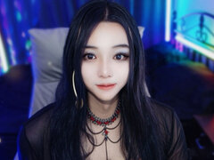 Model Recent Snapshot