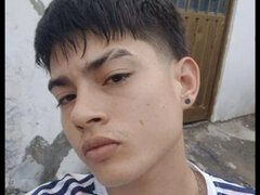 Model Recent Snapshot