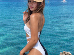 Model Recent Snapshot